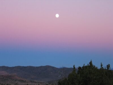 The Hills Are Alive Image